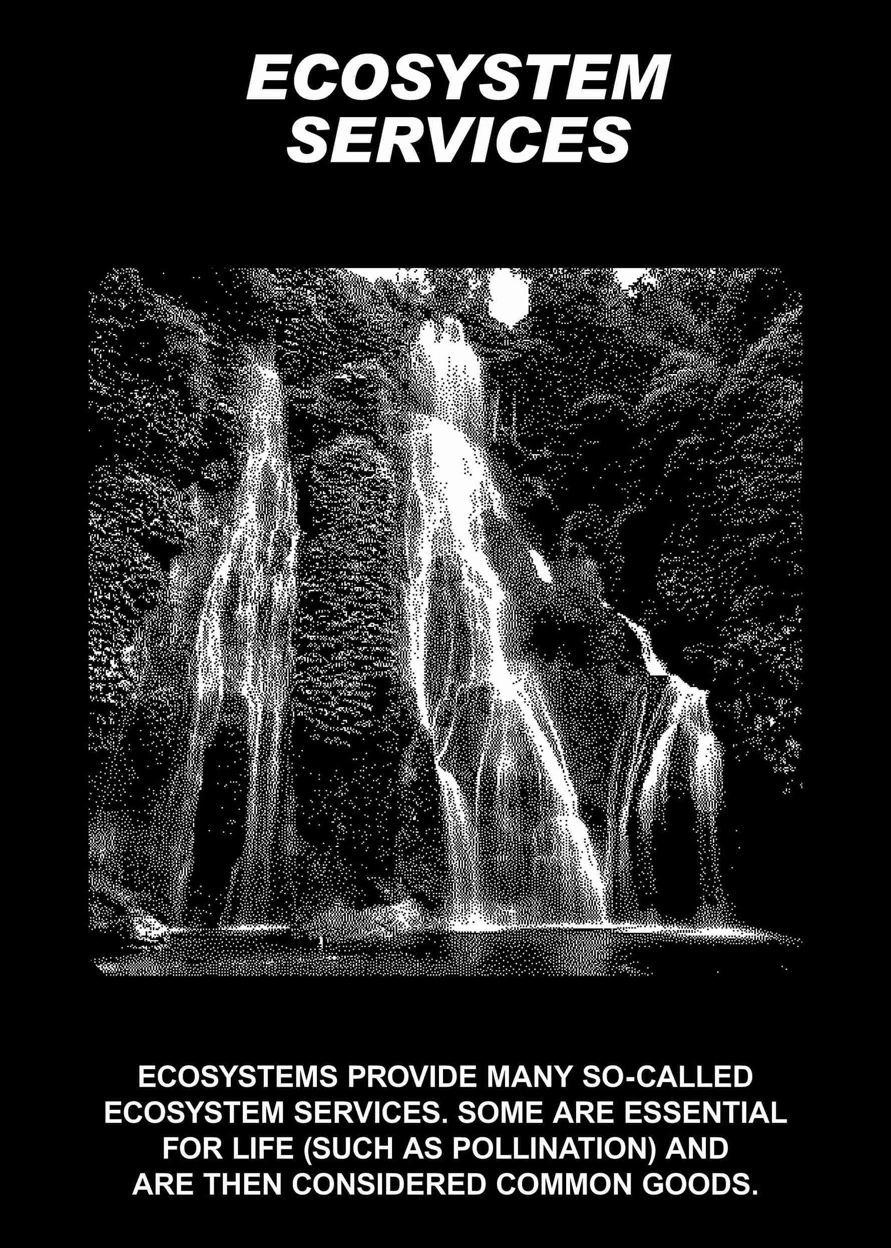 ecosystem services notion card